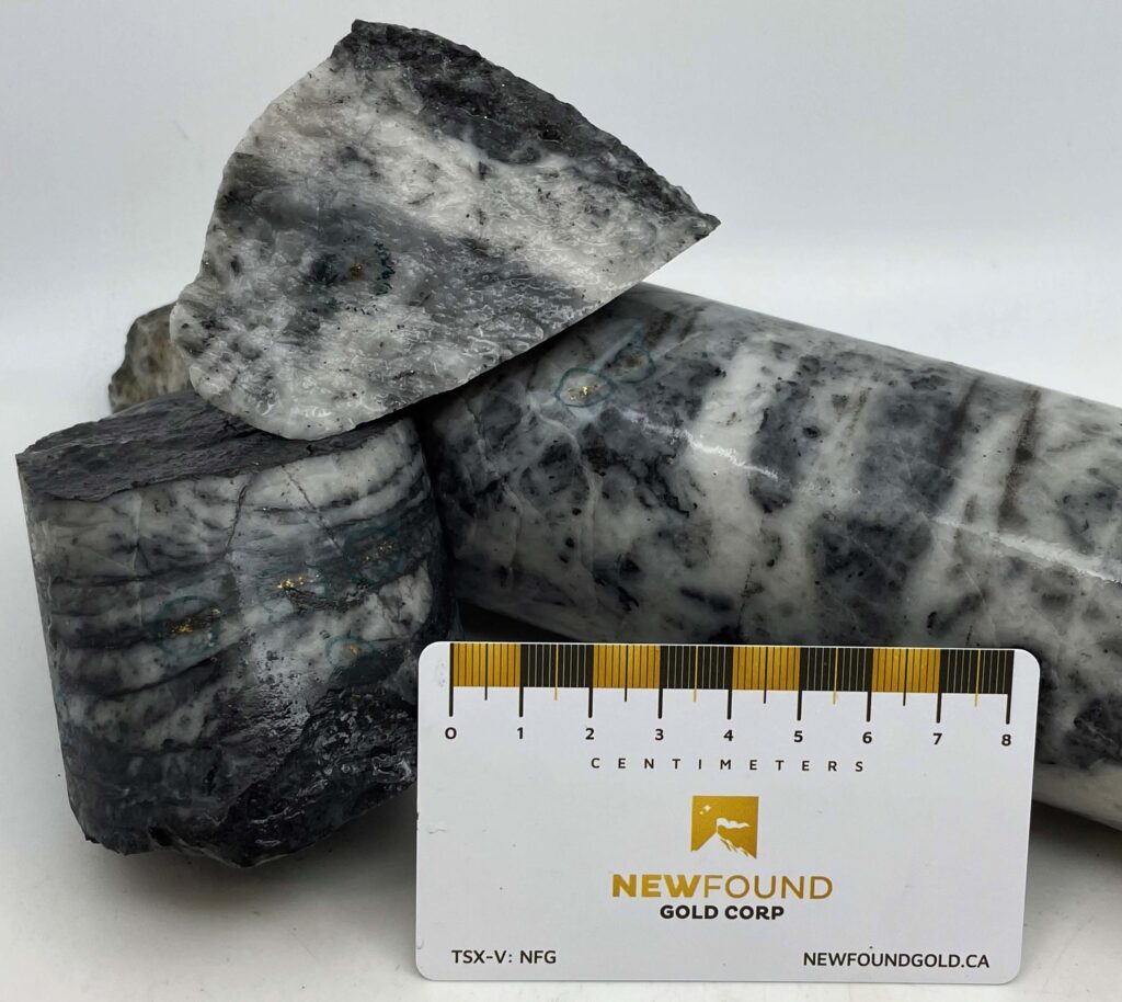 Figure 5 Photos Of Mineralization From Nfgc 21 312 Approximately 156m Down Hole Depth