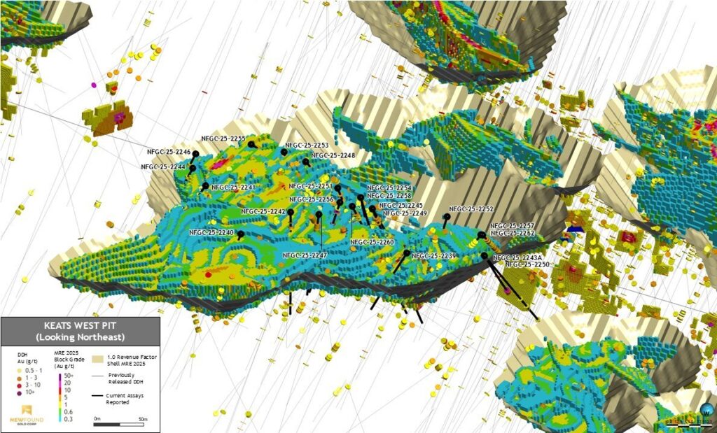 New Found Gold Corp New Found Gold Expands And Confirms Continu