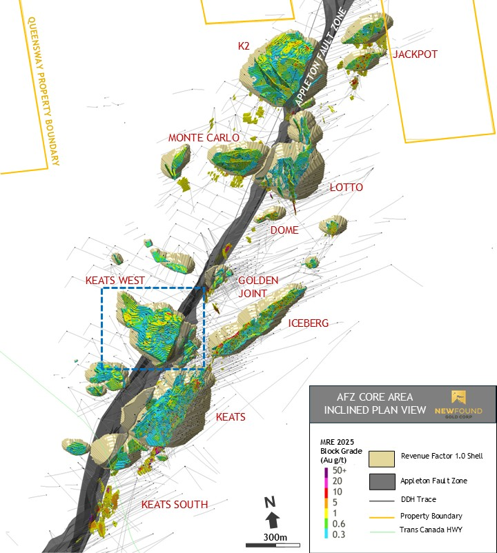km 【meltthelady】 MELT THE LADY large logo scarf マフラー