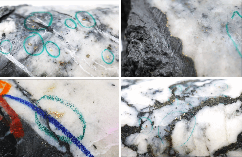 Figure 1 18