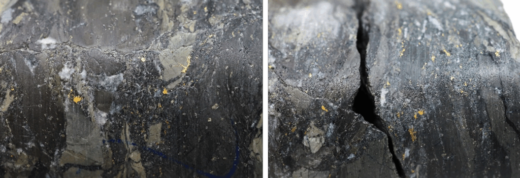 Figure 1 8 1536x526
